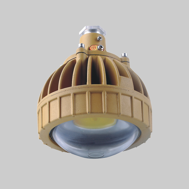 RDB98-8650防爆免維護節能燈(LED)